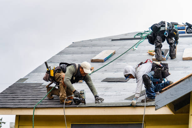Professional Gutter Installation technician working in Bishop Hill, IL